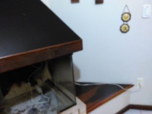 img_20161218_001250-comp